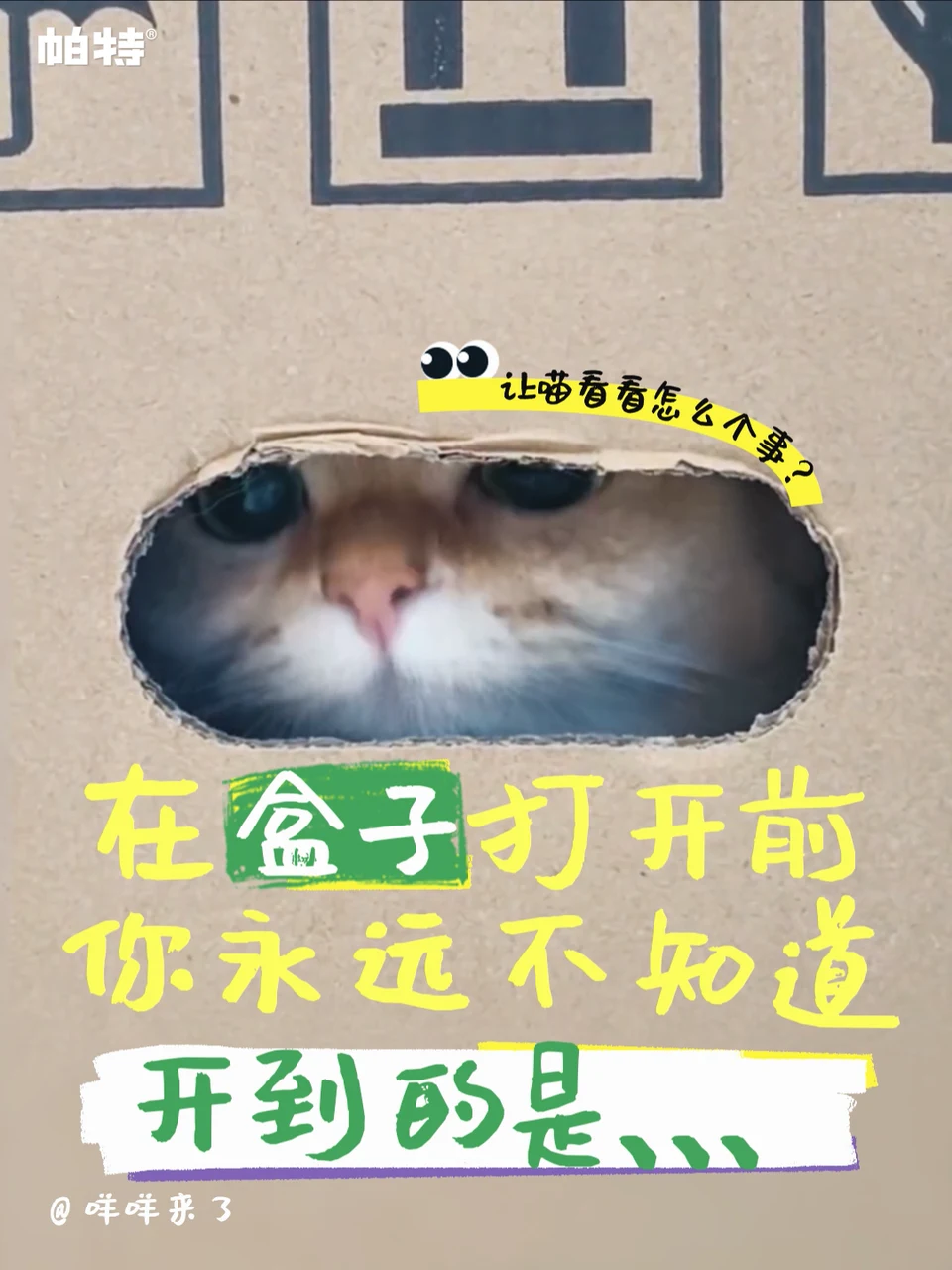 9 周年「隐藏款」主题影片画面