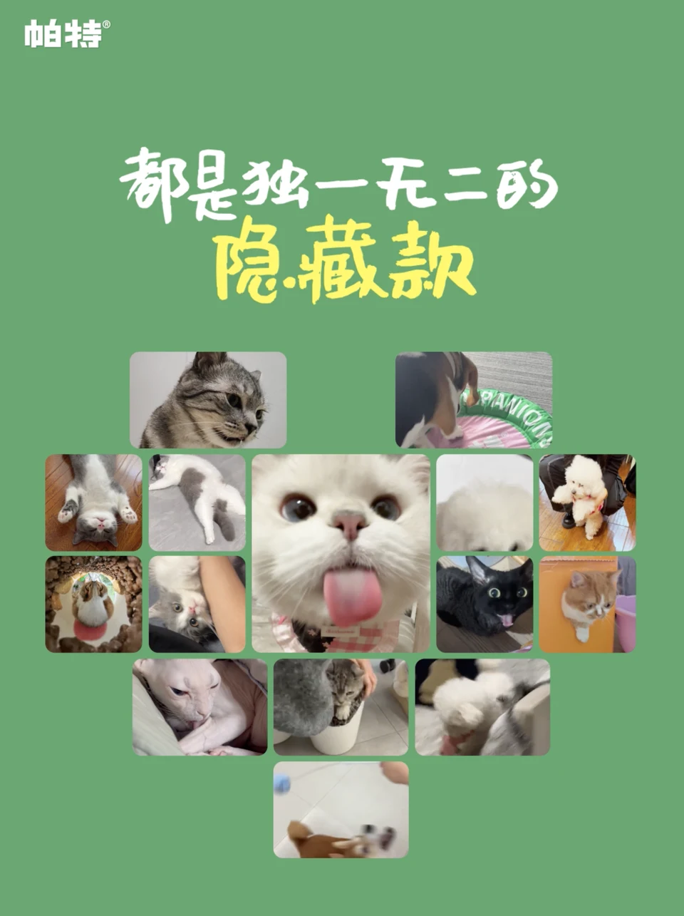 「独一无二的隐藏款」主题画面