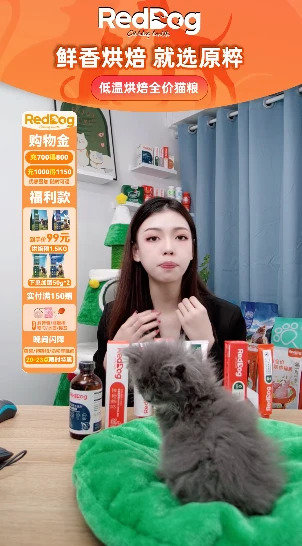 宠物配合出镜的直播画面